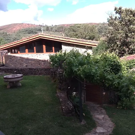 La Flor Del Naranjo