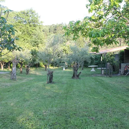 La Flor Del Naranjo * Cadalso